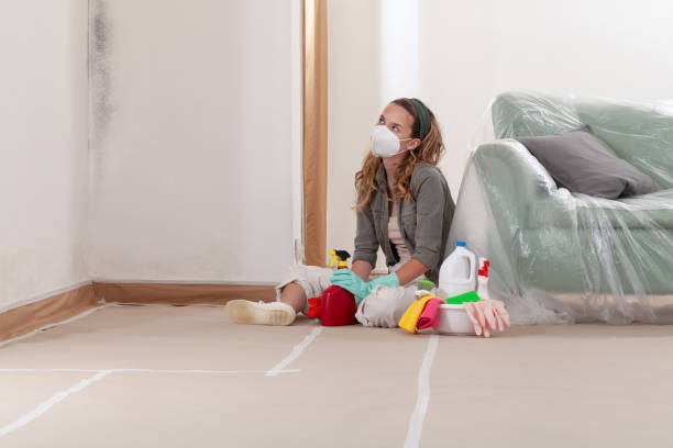 Reliable Black Mold Remediation contractor in Highland, MD by 24 Hour Mold Removal